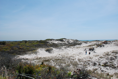 Fire Island Wilderness hike