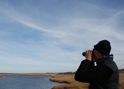 Late autumn birdwatching along Watch Hill Nature Trail. Late autumn birdwatching along Watch Hill Nature Trail.