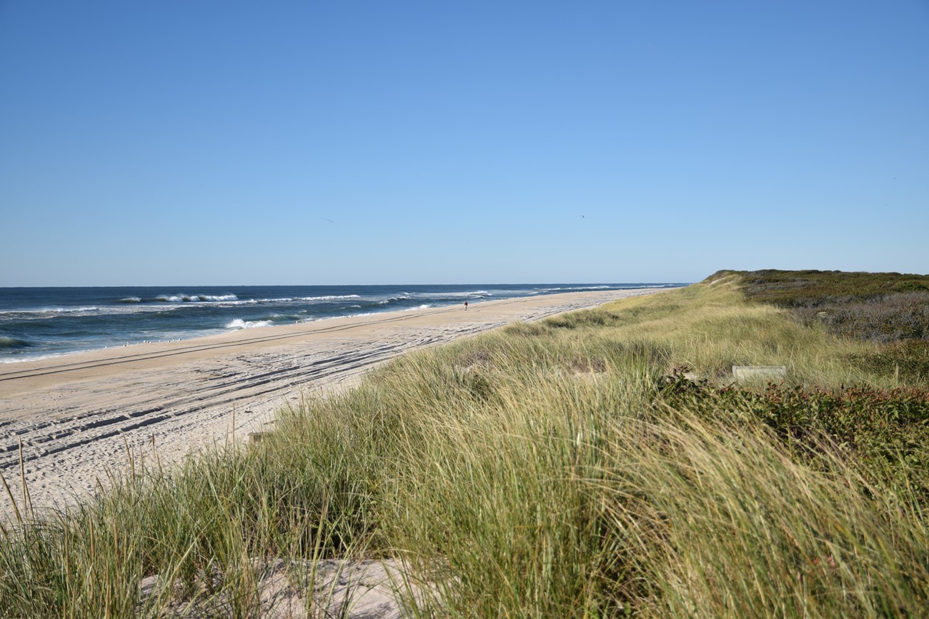 View of dunes, beach and ocean from Barrett Beach on Fire Island