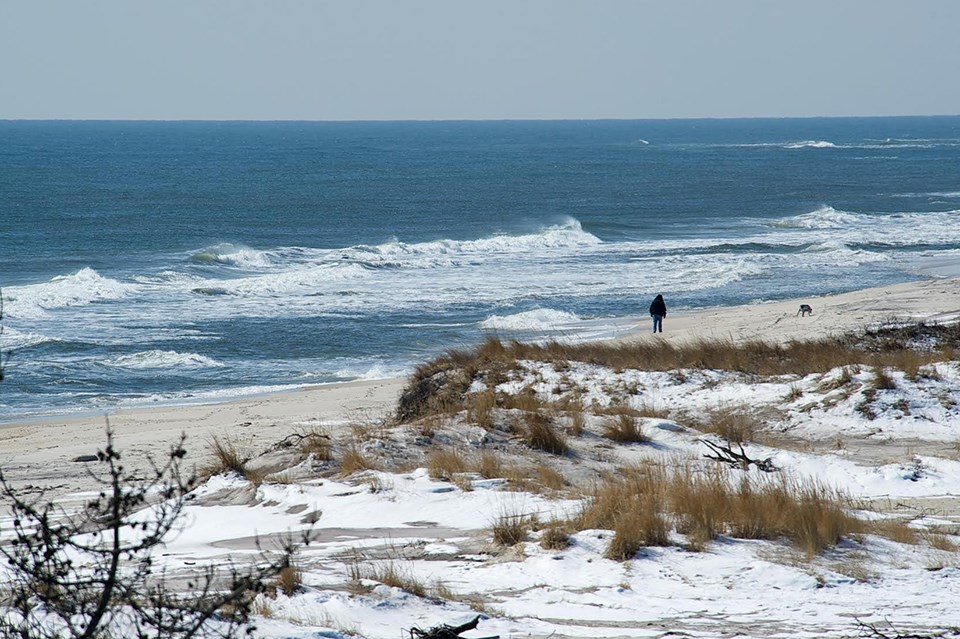 A person walks on a sandy ocean beach in front of snow-covered dunes. A person walks on a sandy ocean beach in front of snow-covered dunes.