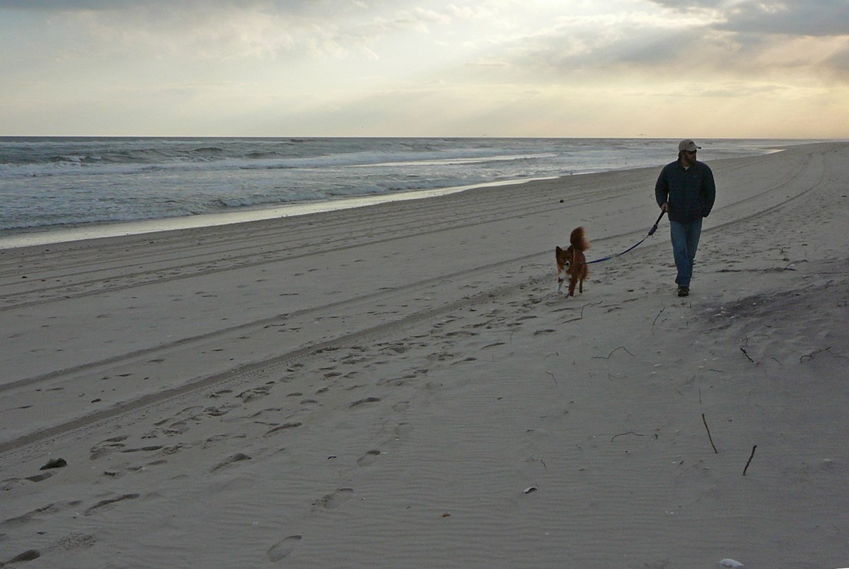From March 15 through Labor Day, pets are not permitted on ocean beaches. After Labor Day, leashed pets are permitted. From March 15 through Labor Day, pets are not permitted on ocean beaches. After Labor Day, leashed pets are permitted.