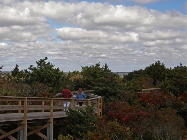 Boardwalks help protect us from ticks and poison ivy.