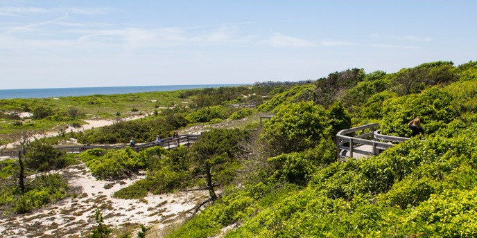 A view of the barrier beach from atop the secondary dune in the Sunken Forest at Sailors Haven.