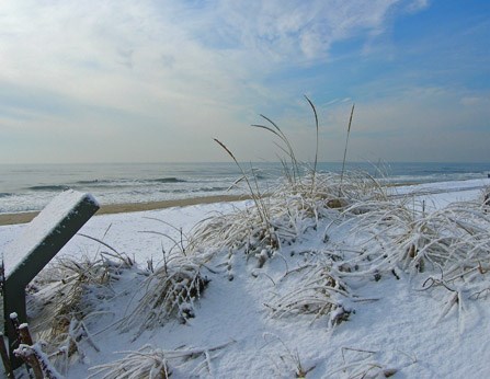 Snow covers the dunes during winter at Fire Island National Seashore.