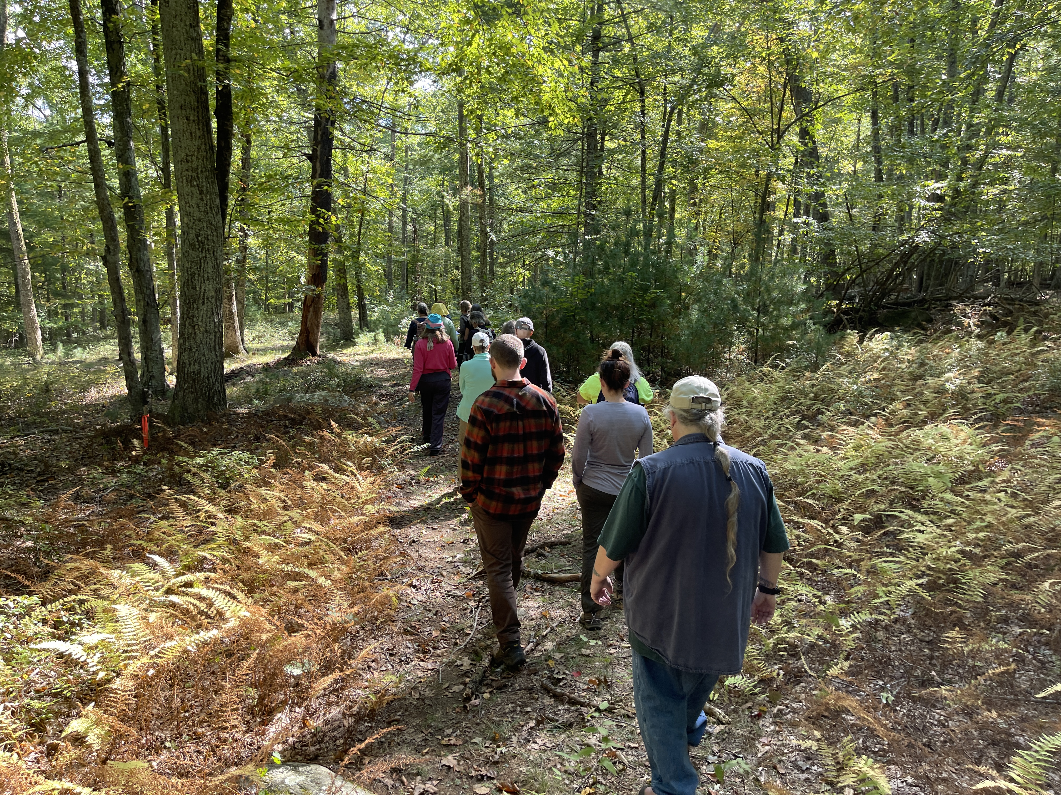 Group of hikers on trail surrounded by foliage