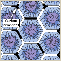 Permineralization - Step 5
