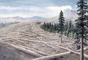Stumps of Stone