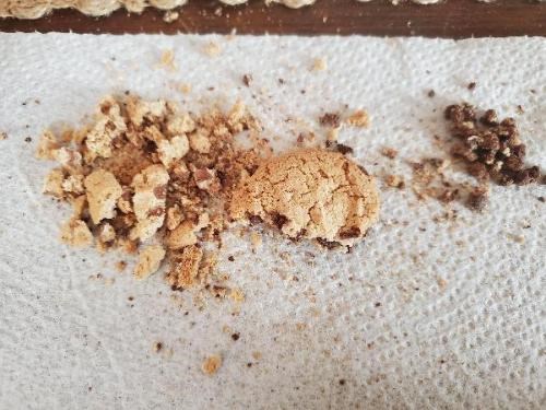 A chocolate chip cookie is mostly crumbled into tiny pieces and crumbs on a paper towel.