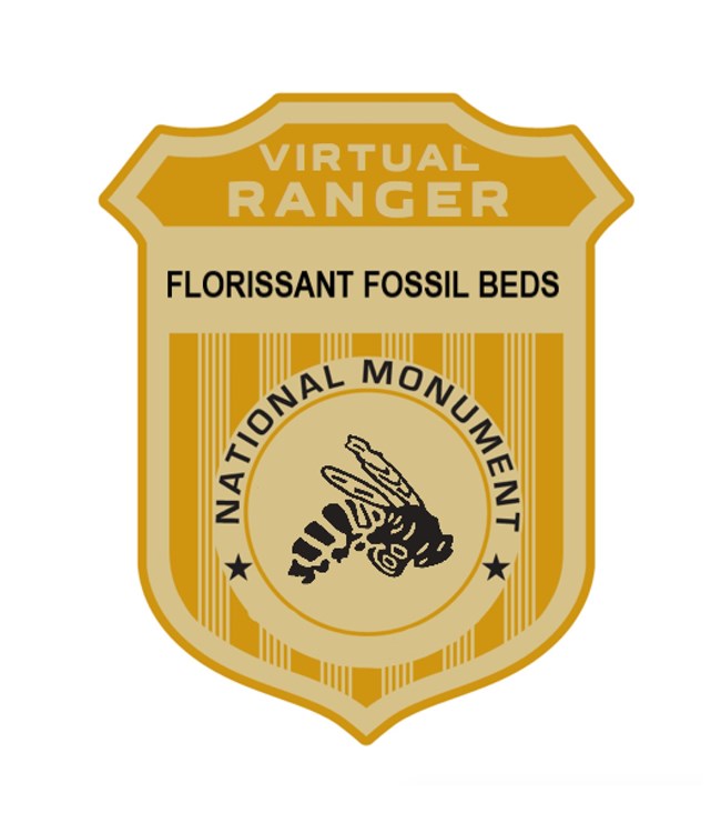 Gold Virtual Florissant Fossil Beds Junior Ranger badge
