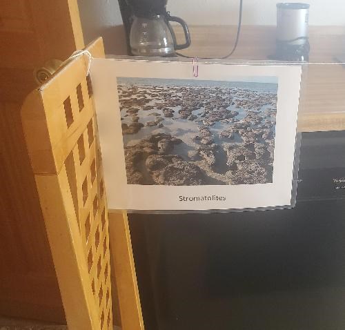 A laminated image of stromatolites hanging on a string by a paperclip next to the far left chair.