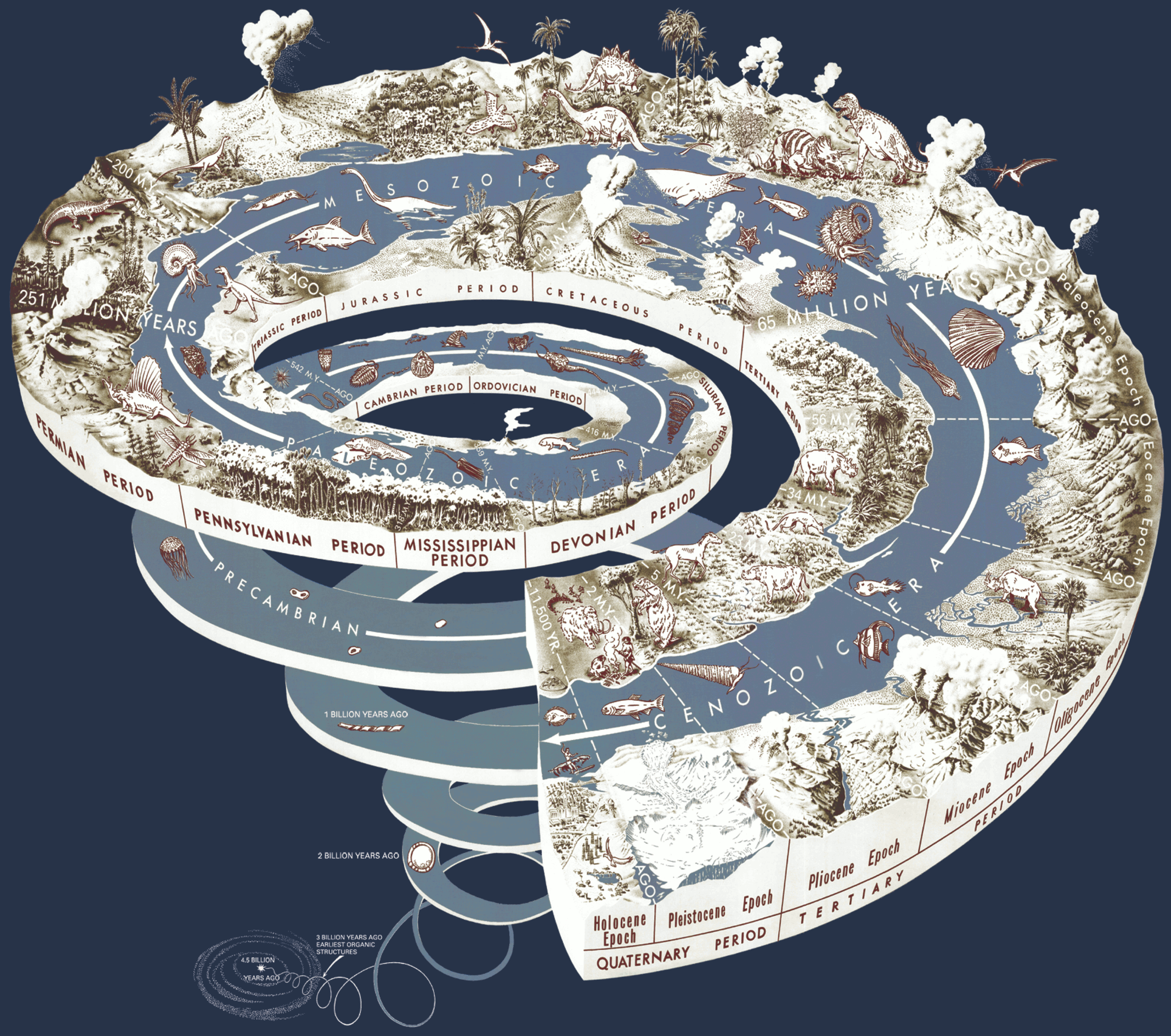 A spiral representing Earth's history with various species representing the progression of evolution.