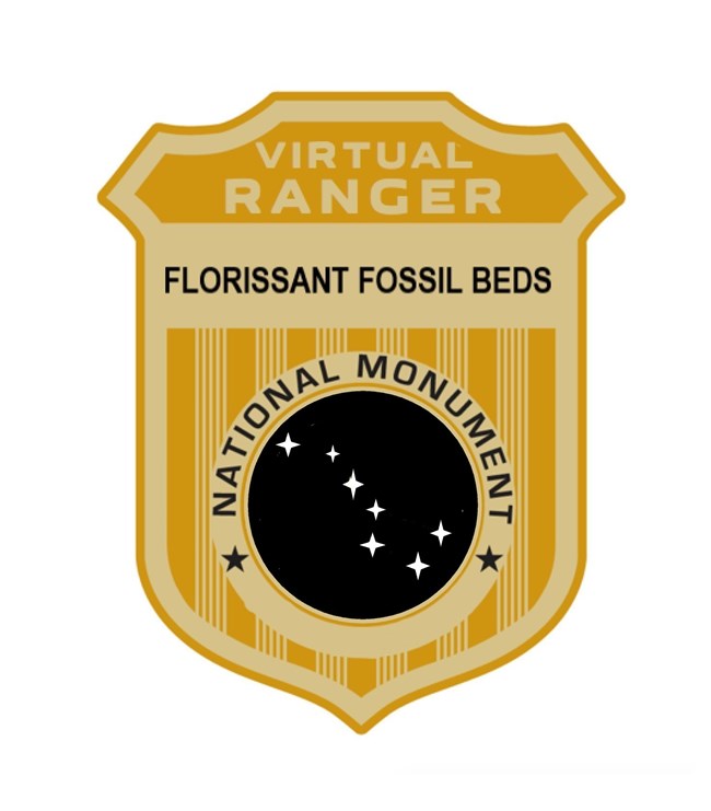 Gold Virtual Florissant Fossil Beds Junior Ranger badge with Big Dipper constellation