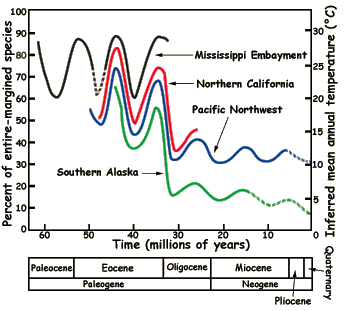 Mean annual temperatures derived from leaf-margin analysis
