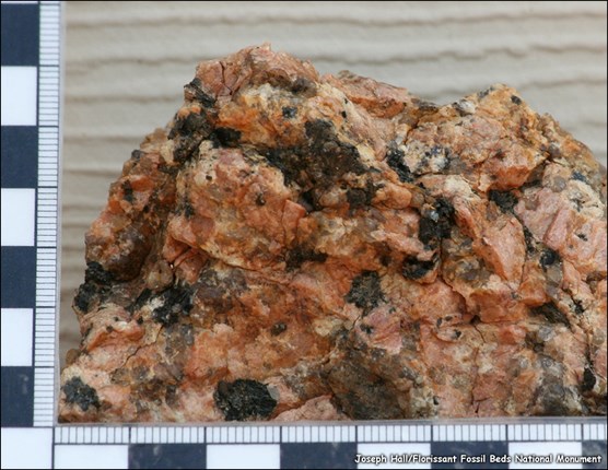 Hand Sample of Pikes Peak Granite