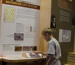 Student reading display in the Visitor Center