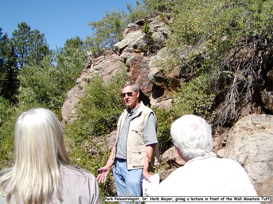 Wall Mountain Tuff
