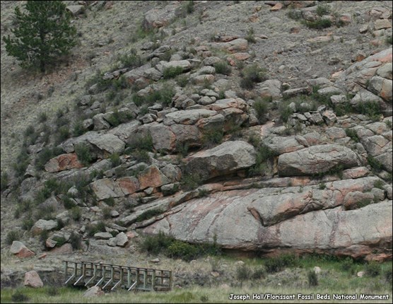Pikes Peak Granite Outcrop
