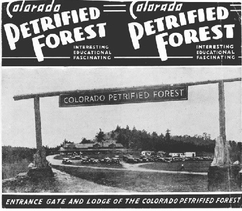 Colorade Petrified Forest