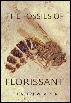 Book cover of Fossils of Florissant