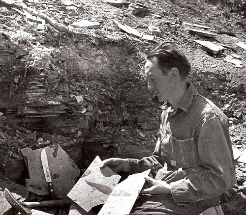 Harry MacGinitie collects fossils.