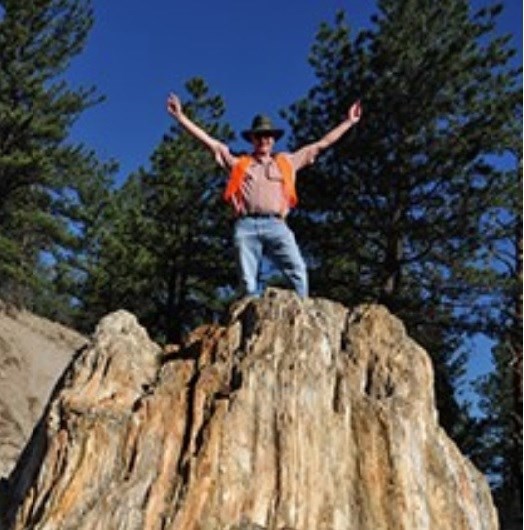 Paleontologist standing on petrified stump