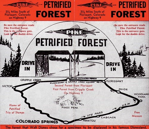 Pike Petrified Forest