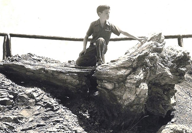 Toby Wells sitting on petrified stump