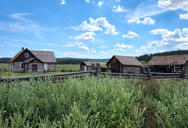 A historic homestead with wildflowers in the foreground