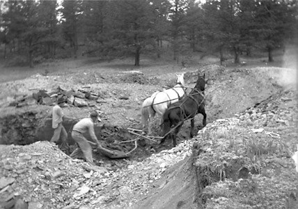 Harry using plow and horses to clear soil