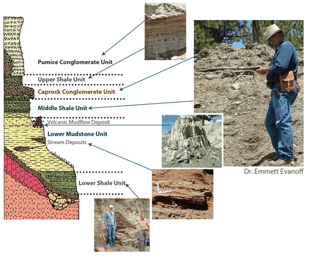 Rock Layers of Florissant Florissant Fossil Beds National Monument (U.S. National Park Service)