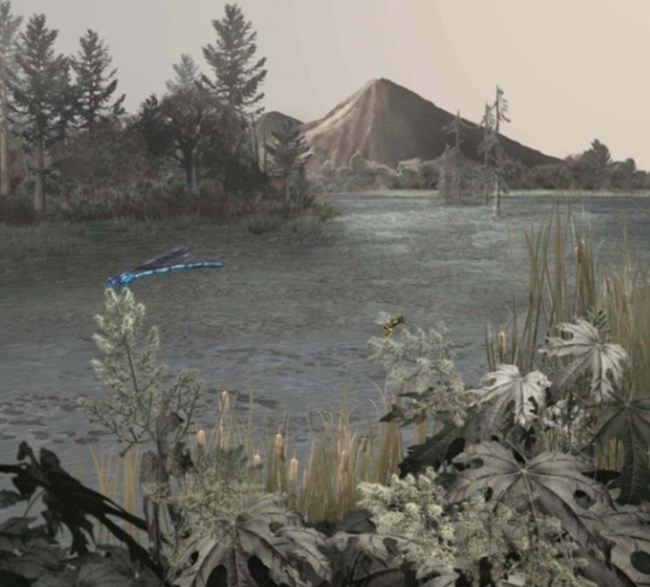 Artists rendition of ancient lake Florissant