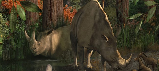 Artists rendition of Eocene Vertebrate animals