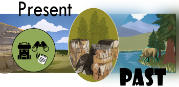 Florissant in the present and past. Florissant Valley is on the left, shale outcrop is shown with a round green graphic of binoculars, notebook and backpack. The petrified Redwood trio is centered. Ancient Lake Florissant and a gray Brontothere is right.