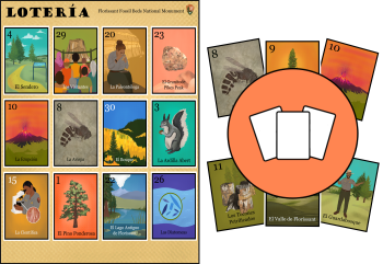 On the left is a gameboard called a tabla for the Loteria game that displays 12 cards of Eocene and modern Florissant including, fossils, plants, wildlife, and people. On the right are six staggered cards with a round pink graphic of three blank cards.