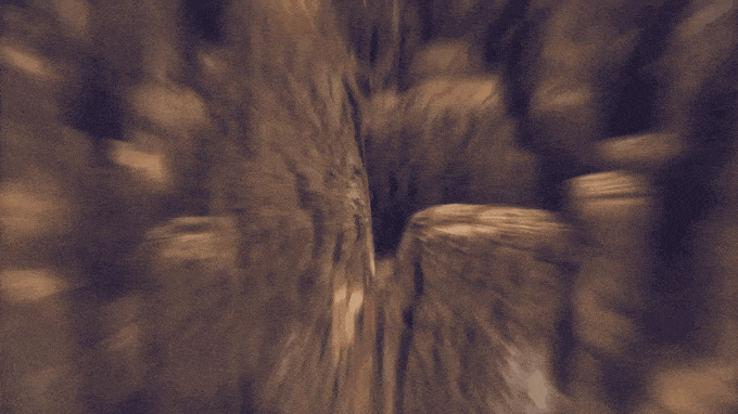 Animation showing a close-up view of a stump showing its cells getting filled with water carrying minerals. The view pans out to show a petrified tree stump.