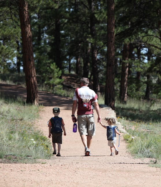 On the Petrified Forest Loop Trail On the Petrified Forest Loop Trail