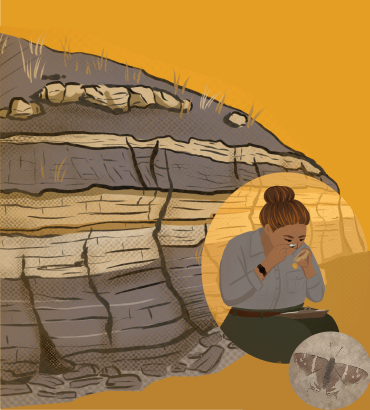 At a shale outcrop which has various dark browns and tan layering, a Latina paleontologist looks at a fossil under a hand lens with a expanded version of the butterfly fossil in the bottom right corner. The sun is setting in the background.