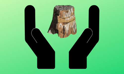 On a light green background, there's a silhouette of two hands holding up a petrified Redwood stump.