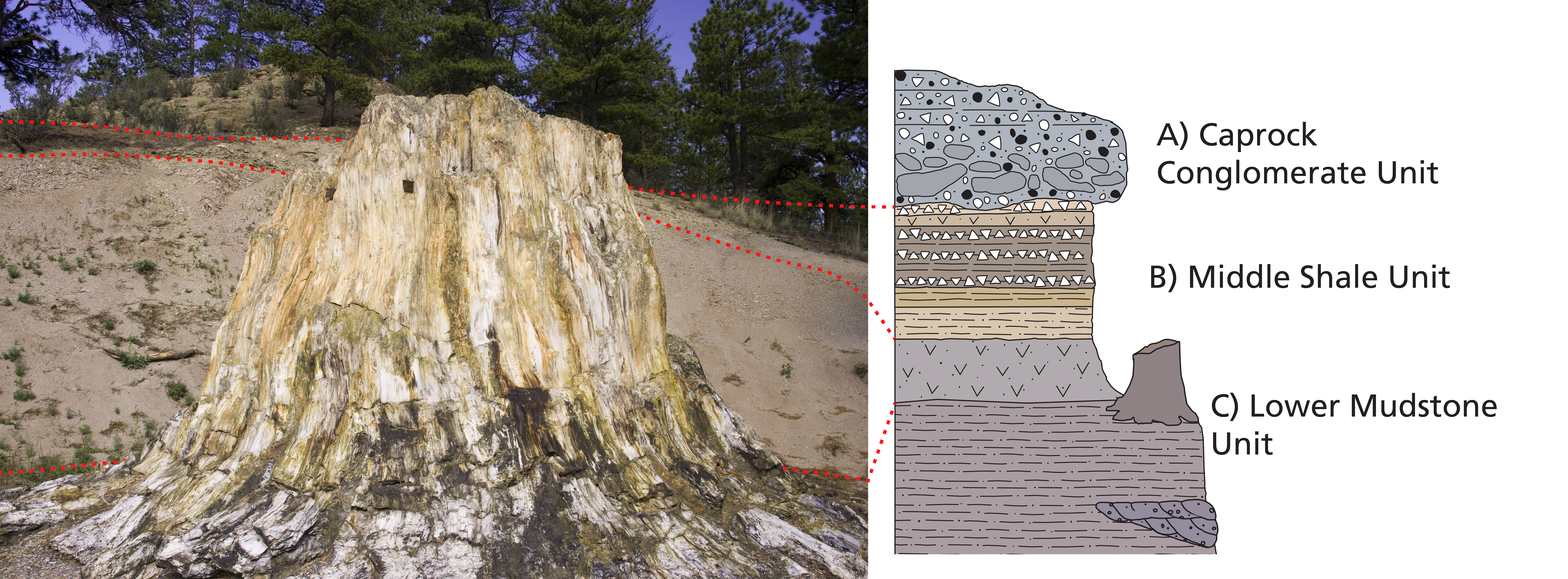 On the left is an image of a petrified redwood stump in front of a hill exposing layers of rock. Red dashed lines cross the image through the rock units. On the right is a stratigraphic column with the rock units drawn out schematically.