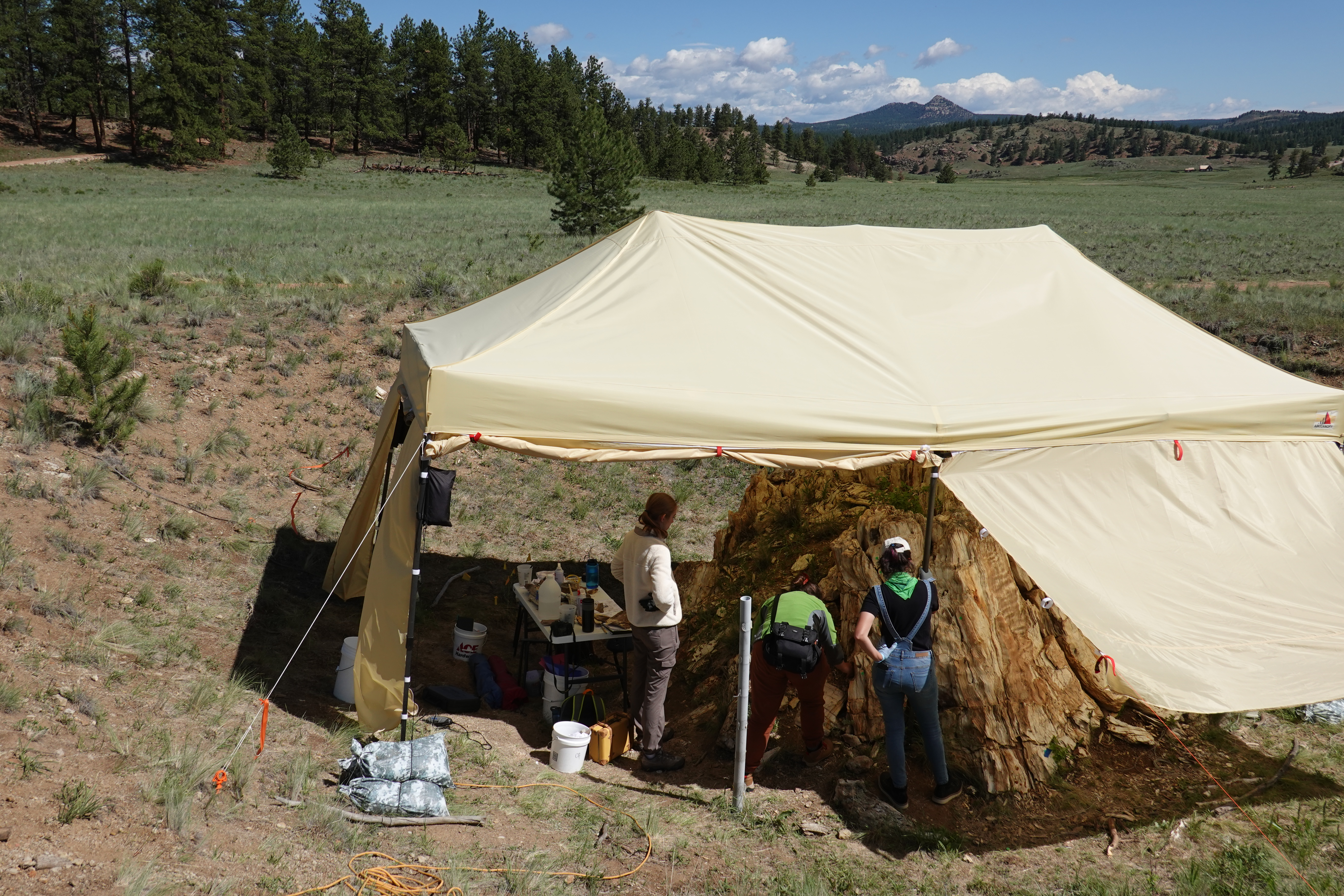Three women under a open-sided tent pitched over a petrified stump, next to the stump is a table covered in bottles.