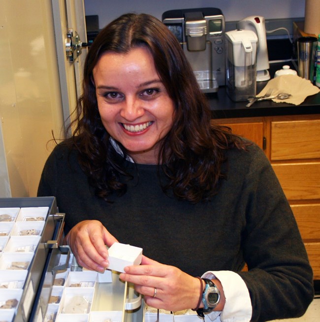 a dark haired woman holds a delicate fossil in a box