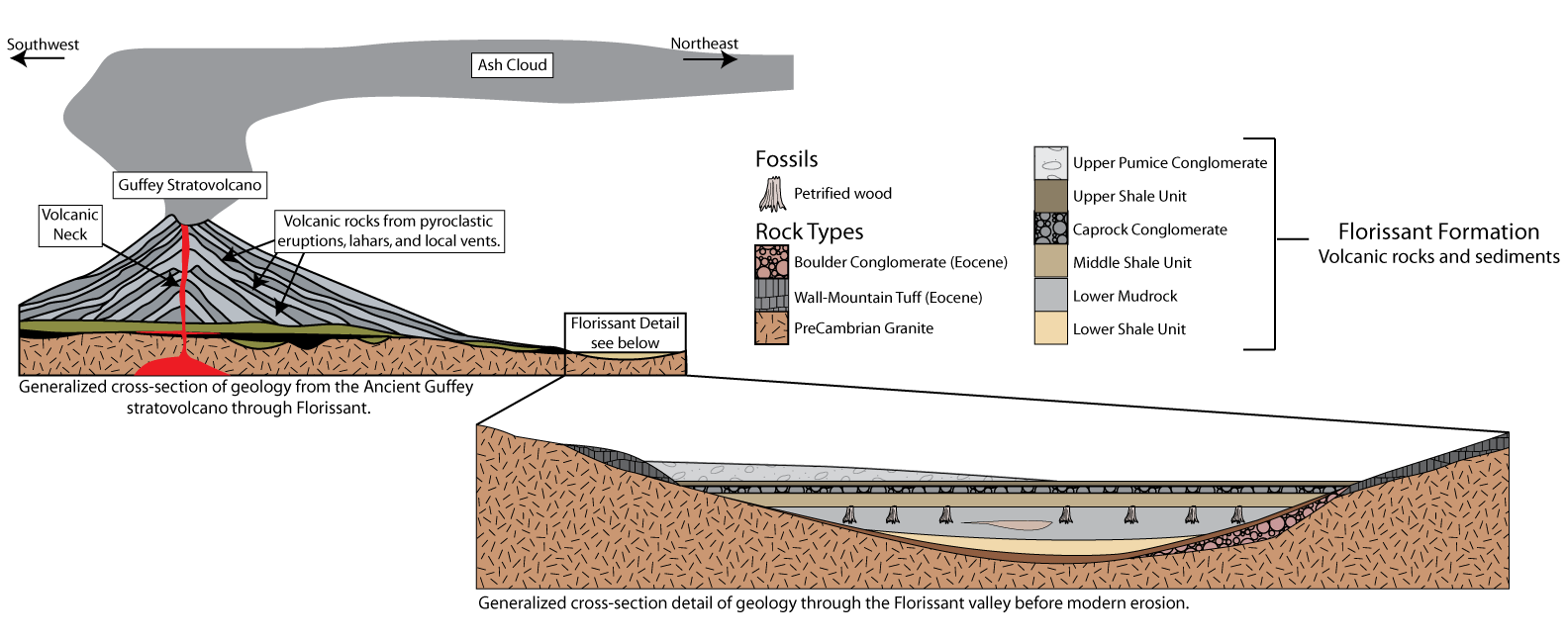 Cross section of Florissant geology