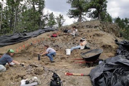 Interns working at excavation site