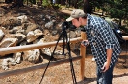 Intern monitoring petrified stump