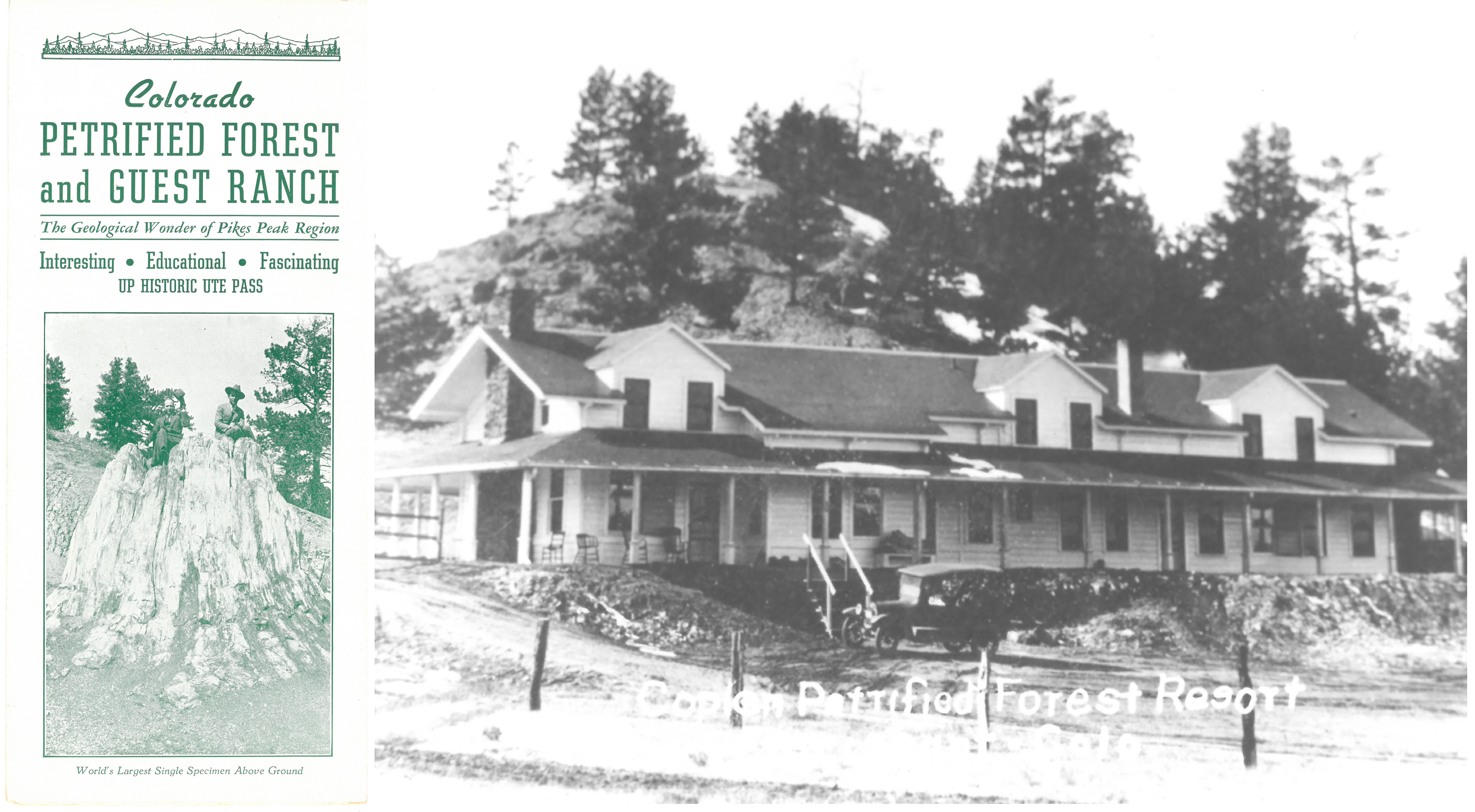 A brochure on the left advertising a petrified forest and guest ranch, the right shows an old picture of a resort.