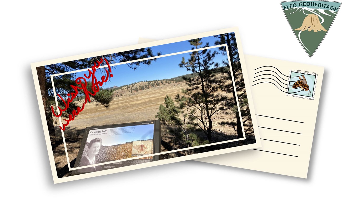 A postcard illustration with a photograph overlooking a grassy valley, in the front is a wayside exhibit panel, in the upper left are the words "wish you were here"