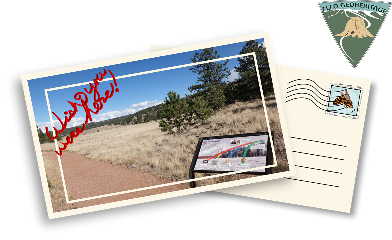 A postcard illustration showing a valley filled with grass and a wayside sign in the lower right corner. In the upper left corner are the words "wish you were here" in red.