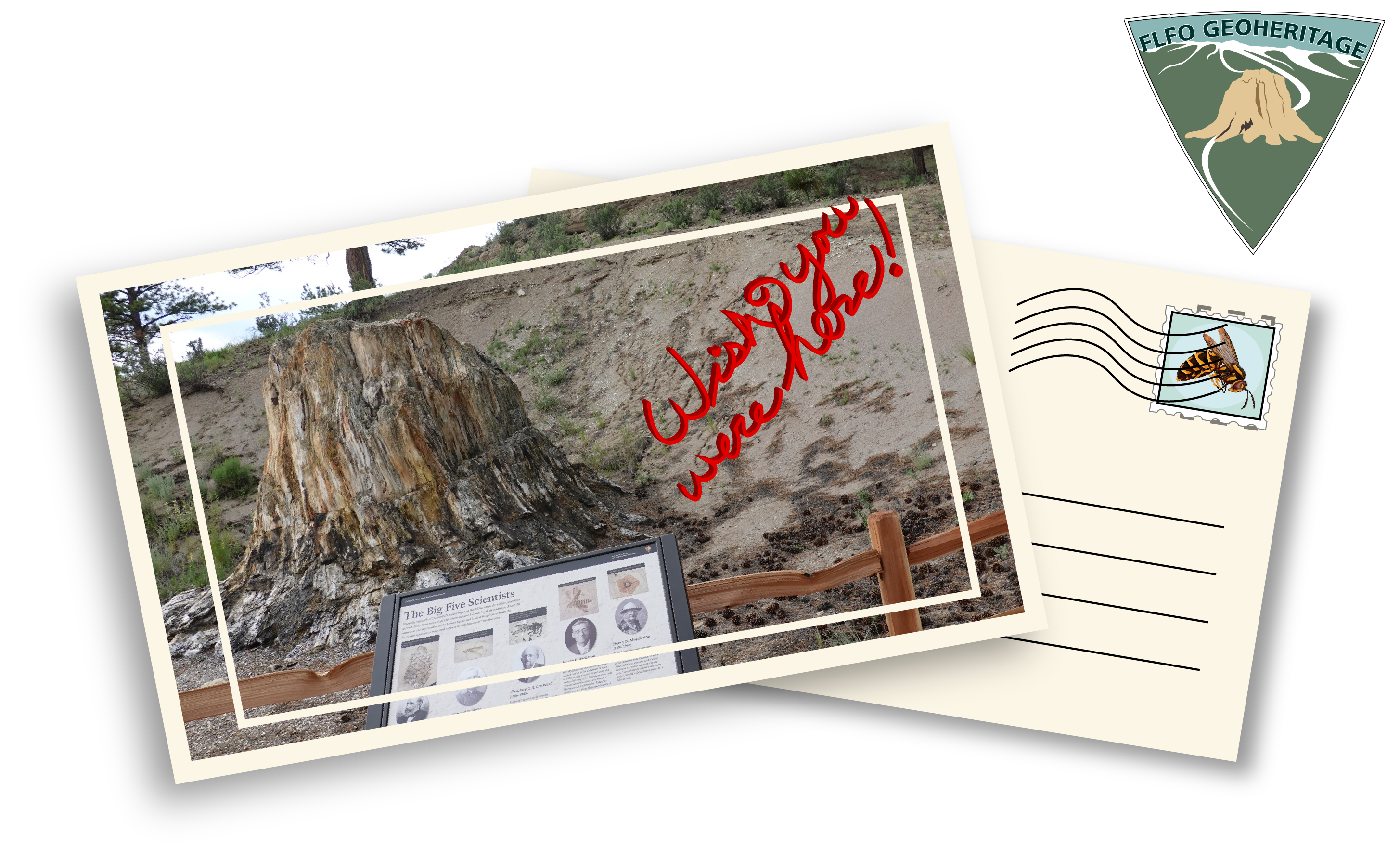 A post card with the image of a wayside and its surroundings that says "wish you were here" in red.