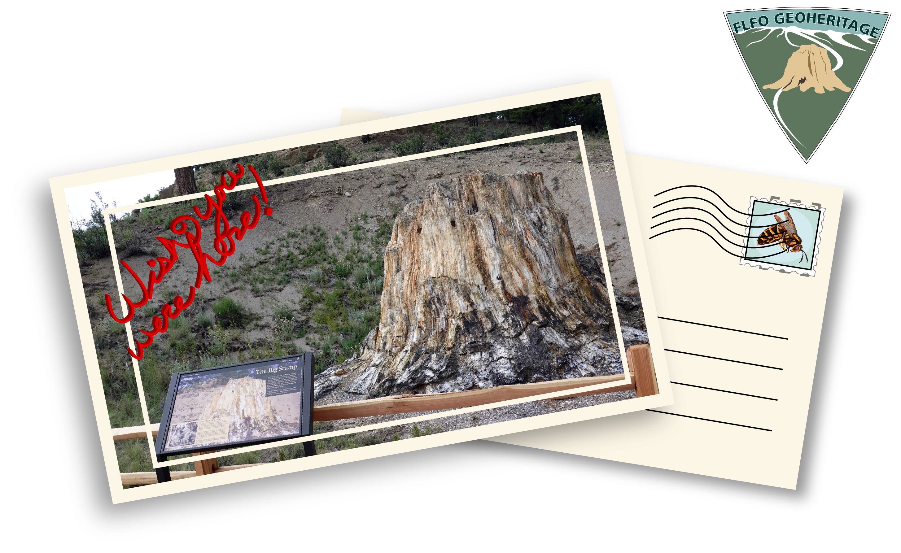An image of a postcard with a wayside in the foreground before a large petrified redwood stump.