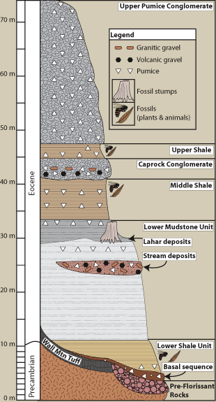 Stratigraphic Column